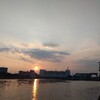 開放されるラン