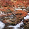 2022-11-13   鮫川村　強滝₋－江竜田の滝－雲岩寺