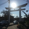 そうだ、お祓い、行こう!方災除け寶登山神社＠埼玉