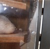 悪いこと考えすぎちゃいけない