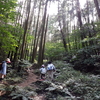 一年ぶりの登山