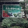 池は小鳥のスケートリンク遊び上手な雪が舞う