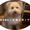 またまた｛お知らせ｝