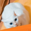本年はお世話になりました