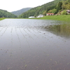 習わしより好天の田植え