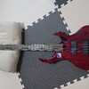 GrassrootsForestBass修理改造録その1