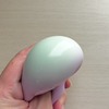 【メロジョイ】誕生日プレゼントに欲しがる娘｜購入に挑戦中。ダイソーのスクイーズ&お小遣いルール
