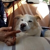 う～ん、デリ～シャス。
