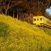 2022/03 いすみ鉄道サイクリング