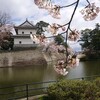 新発田城址公園の桜2019