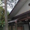 スズメバチの駆除依頼