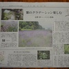 讀賣新聞第一金曜日の夕刊・・・桐原春子のはな紀行