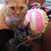 やりたいことはやってみる1年に！