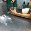 ヤマト、初の猫ワクチン接種