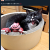 『ズゴックを置いたら怒られた💢』の事。