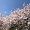 フルーツ公園🌸