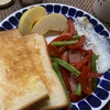 2026/1/16 Fri ようやく着地、疲れ果てた