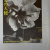 歴史の天使　アイラブアート１０　写真展。2009.3.20~5.10。ワタリウム美術館。
