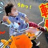 12月5日の動画