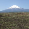 富士山に行って見るか