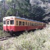 小湊鉄道の観光は「房総里山トロッコ列車」より「キハ200形」がオススメな5つの理由