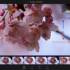 写真選別の効率が飛躍的に上がる、Lightroom mobileの活用方法