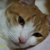 α6400 + Commlite CM -ENF -E1 PRO （No.4） 