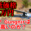 【CSGO経済学】AWP Gungnirはなぜ高いのか【スキン解説】