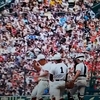 甲子園のネット裏