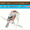 “Fly, Little Bird”――野鳥とランニング、ジョギングのための音楽プレイリスト：Music for Slow Joggers #007／Birders' Songs #025