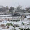 真昼の中居氏の夢