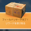 【ポケモンGO】１２月大発見は？？第三世代未実装のあいつかっ！？