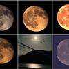 星見娘で電視観望4151(2024/08/21～25 月)