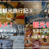 【北海道観光旅行記③】札幌のグルメと観光地巡り。元祖さっぽろラーメン市場、モエレ沼公園、さっぽろ羊ヶ丘展望台を堪能