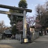 上野公園、消えたホームレス事件、寒桜