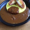 つぼやきカレー　キートン田川