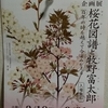 桜花図譜