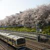 【東京】中野は桜の名所