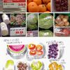 野菜たち