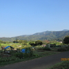 秦野転天気　晴れ☀　　最高気温　２８度　