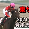 東サラ2021年度募集馬前41頭の評価&申し込み馬予定馬を晒してみた