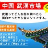 【中国　武漢市場】海鮮市場がヤバイとか新型ウィルスコロナだけちゃうで。武漢がどんな街か調べてみた