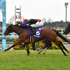 日曜競馬　展望