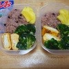 高かったのに処分したくなりそうな物｜質素なお弁当