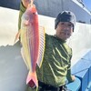 白甘鯛　釣れるには釣れたけど・・・今日の富士山