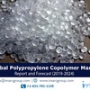 Polypropylene Copolymer Market Research Report, Market Share, Size, Trends, Forecast and Analysis of Key players 2024