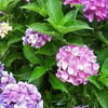 木曜定休日