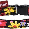 愛犬の首元を華やかに！Meister カラーフラワー首輪レビュー：安全性とデザイン性を両立