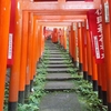 〖鎌倉最強〗佐助稲荷神社の見どころとアクセスについて