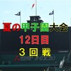 第107回夏の甲子園大会12日目の予想はこちら